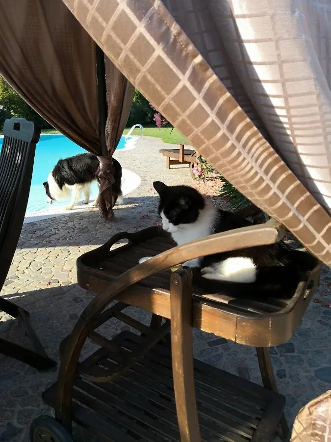 B&B Il Martin Pescatore Bagnolo San Vito